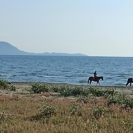 Pozzuoli-Licola Mare Lägenhet Exteriör bild